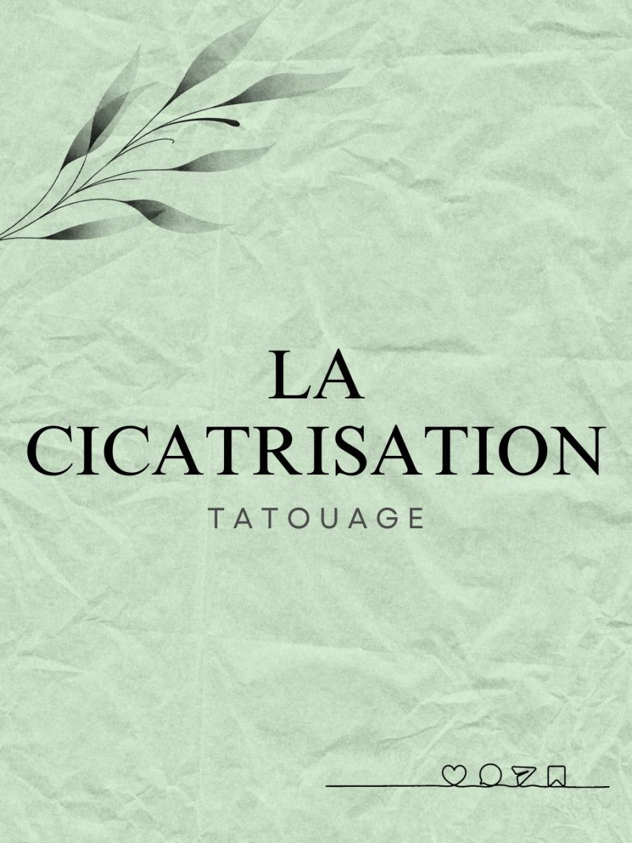Article 1 : La&nbsp;cicatrisation