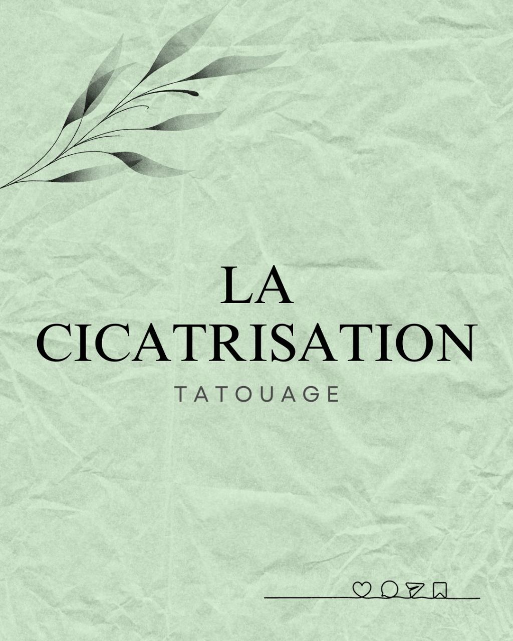 Article 1 : La&nbsp;cicatrisation