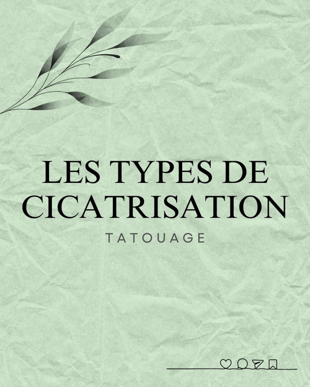 Article 2 : Les types de&nbsp;cicatrisation