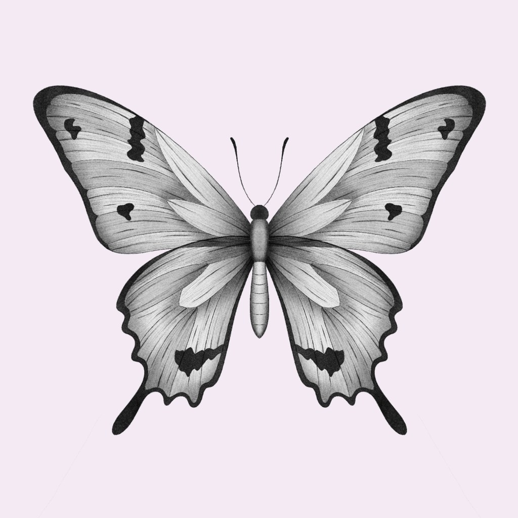 N°3A : Papillon