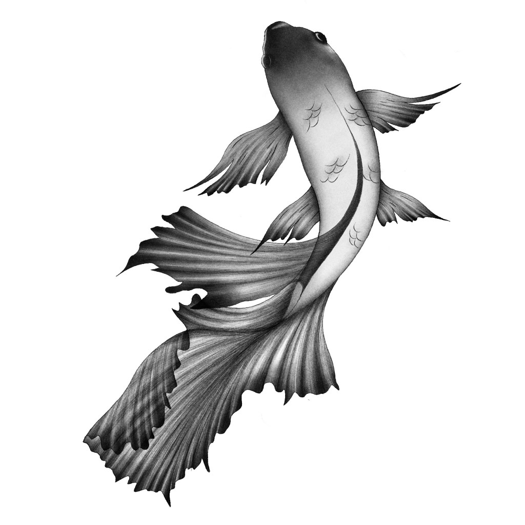 N°5B : Poisson&nbsp;noir