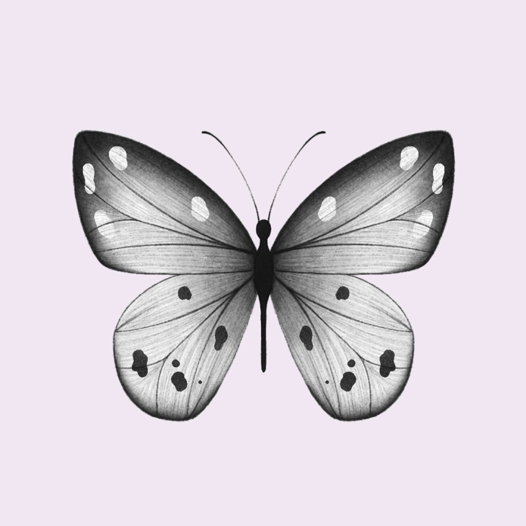 N°3C : Papillon
