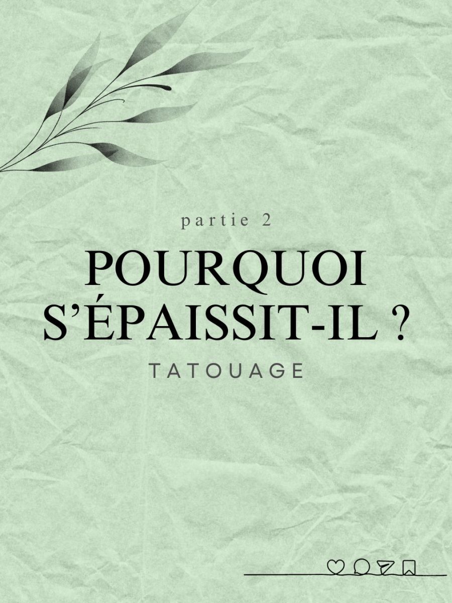 Article 5 : Pourquoi s&rsquo;épaissit-il ? (Partie&nbsp;2)